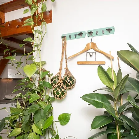 فندق مبيت وإفطار Cosy !!! باريس